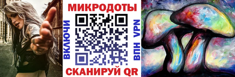Псилоцибиновые грибы Psilocybine cubensis  Баксан 
