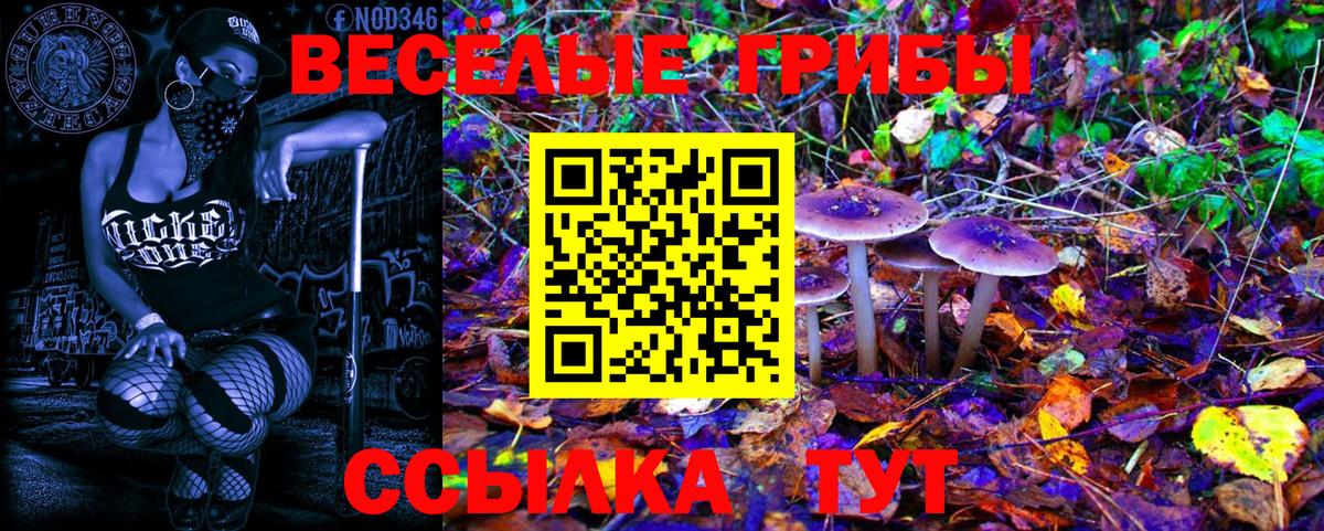 Псилоцибиновые грибы GOLDEN TEACHER  Вход с VPN  что такое наркотик  Баксан 